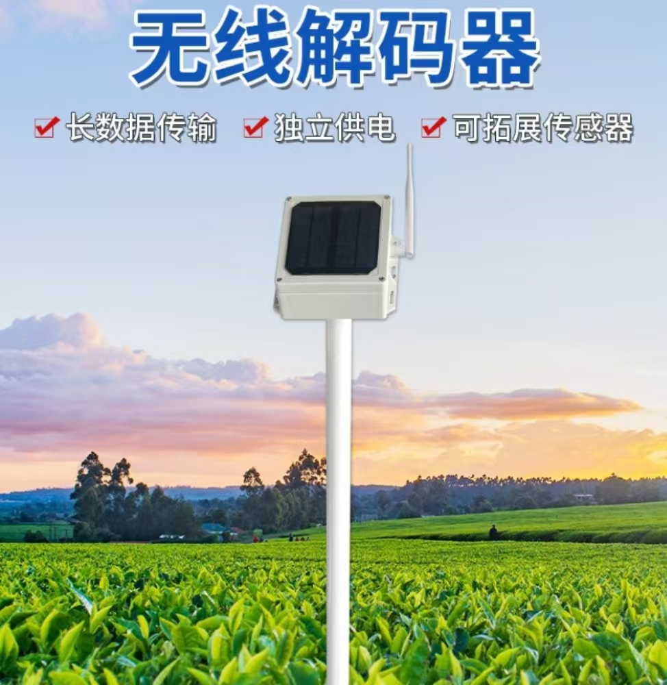 解码器